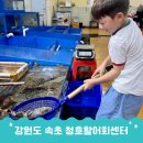 나주대교 입구 500m 전 | 강원도 속초근처가볼만한곳 꼭 청호활어회센터 가성비 순희네 횟집 추천