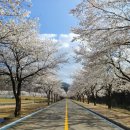 이남강변로 이미지