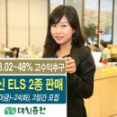 [대신증권][ELS 신상품 2종 출시,대신증권의 주가 상승기대] 이미지