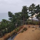 토지보상행정사 이미지