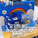 월드소프트 | [후기] 내 돈 내산 요거트월드 저당 허니 시리즈 위글위글 소프트 키 링 보냉 백