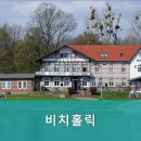 비치홀릭