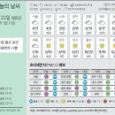 22 중앙일보