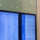 명동 비염성지 &#34;한피부과&#34; 비염주사 2번째 내돈내산 상세리뷰