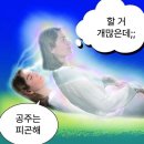 채움하우스 | 결혼 준비 15편 노마 하우스 원데이 이승환 실장님 원본 수령 후기(2025년 4월 말 촬영)