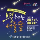 8월 여름 야간 축제 TOP4 이미지