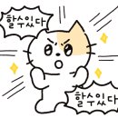 조아점핑 - 강북구 | 조아점핑