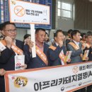 선양돼지 이미지