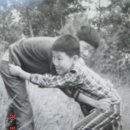사진기억 이미지