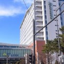 세명성모내과의원 티스토리