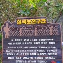 [테마2024년6월30일 일요일]동해-행복한 섬길~무릉별유천지 라벤더 트레킹 축제경유안내 이미지