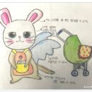 캥거루베이비시터 이미지