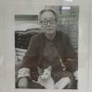 살구라는 이름의 고양이