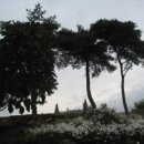 동산PC 이미지