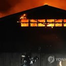 김효주축사 연합뉴스