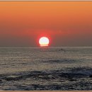 사천항포구 이미지