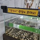 창녕생태곤충원 이미지