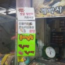 게박사 이미지