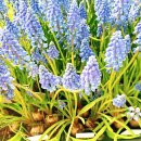 튼튼이농장 이미지