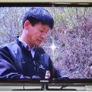 6시내고향 Daum카페
