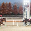 퍼스트게이트 이미지