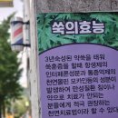 방배쑥뜸마사지 만족했던 에덴쑥훈증테라피