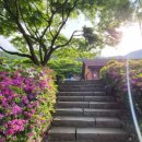 고산자연휴양림 관리사무소 이미지