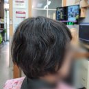 소피아헤어앤가발
