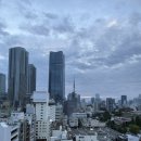 펫가드 펫택시 | 10월 황금연휴 도쿄여행 10/2-10/7 (3)