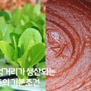 글로벌리더키즈교육센터