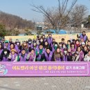 마리데이 이미지