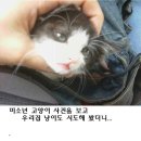 이쁨