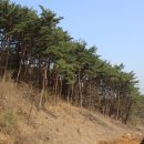 지리산 하늘농원 이미지