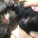 더이스트 이미지