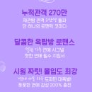 CK치과병원 | 울산 연극 CK아트홀 옥탑방 고양이