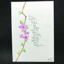 [광주북구학원]광주캘리그라피, 광주피오피, 광주글씨교정 7월 수시반 수강생모집 / 광주학생선거 피켓 밒 벽보(대자보,포스터)주문제작 이미지