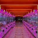 와와가챠샵 이미지