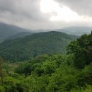 서부지방산림청(정읍국유림관리소) 이미지