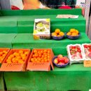 모녀청과 이미지