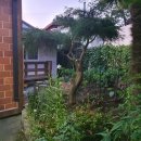 유람선민박 이미지