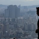 정상개발 이미지