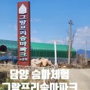 담양 승마장 그랑프리 승마파크 정보 후기