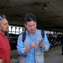 유라이크 이미지