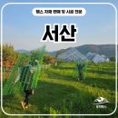 H1200 | 서산휀스 펜스 - “이게 바로 경희휀스 실력입니다. 판만 바꿨는데 분위기💥”