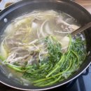 미미샤브 이미지