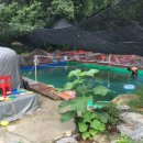 장암민박 이미지