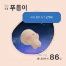 [임신 27주] 임신기간 중 꿀템 같이 공유해요🩵 (feat. 에이치큐브)