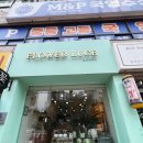 운암동 꽃집 광주 부케 금전수(돈나무) 선물 후기