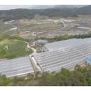 해오름농장 3 이미지