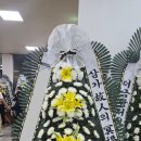 바바플레르